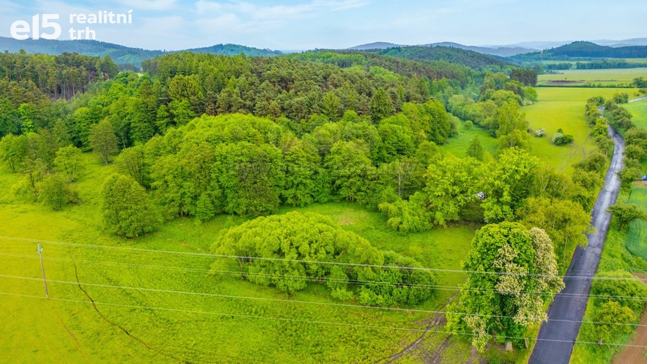 Prodej ostatní pozemky, 4 106 m² - Borotice - Čelina