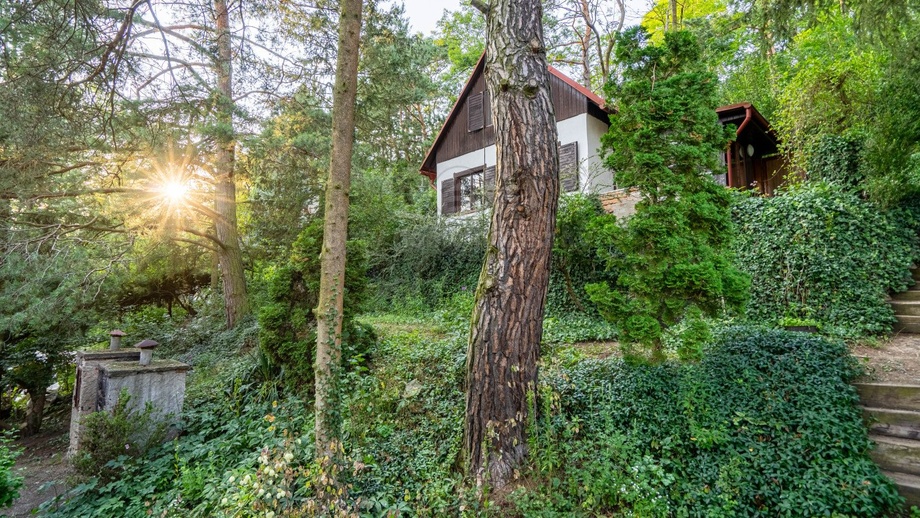 Prodej chata, 38 m² - Kropáčova Vrutice - Střížovice
