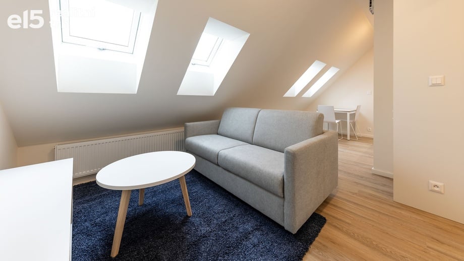 Pronájem bytu 1+kk 31 m², Praha - Holešovice