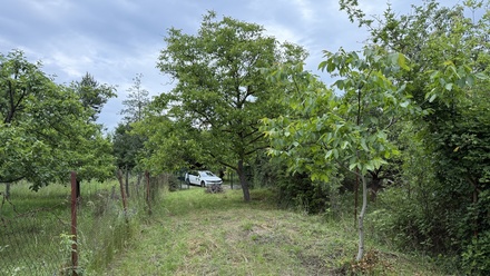 Prodej zahrady 907 m², Brno - Obřany