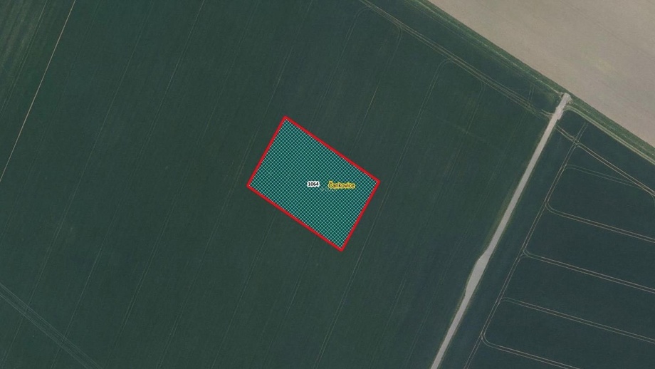 Prodej pole 4 922 m², Čankovice