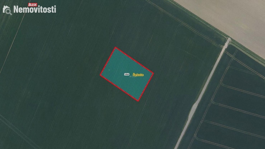 Prodej pole 4 922 m², Čankovice