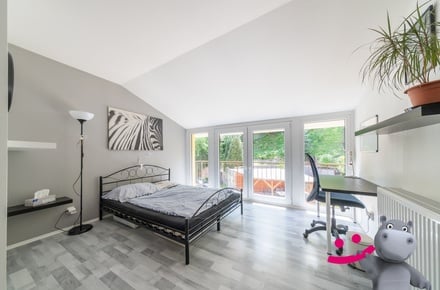 Prodej rodinného domu 378 m², Radim