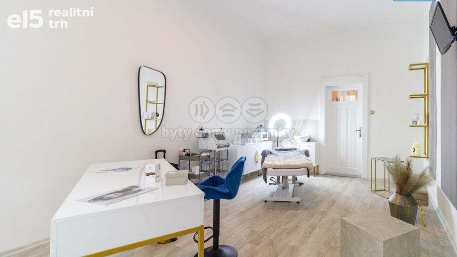 Pronájem obchodního prostoru 50 m², Plzeň 3