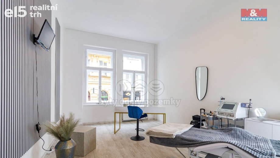 Pronájem obchodního prostoru 50 m², Plzeň - Vnitřní Město