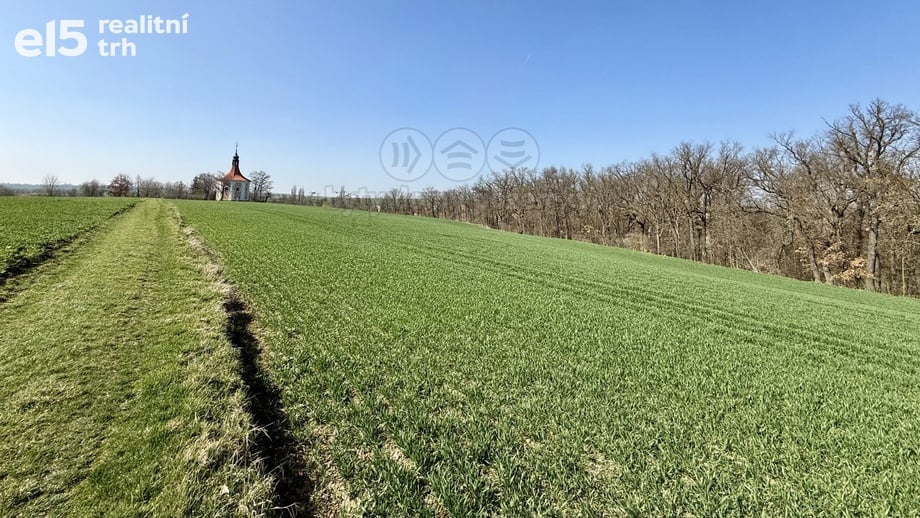 Prodej zemědělská půda, 1 598 m² - Číčovice
