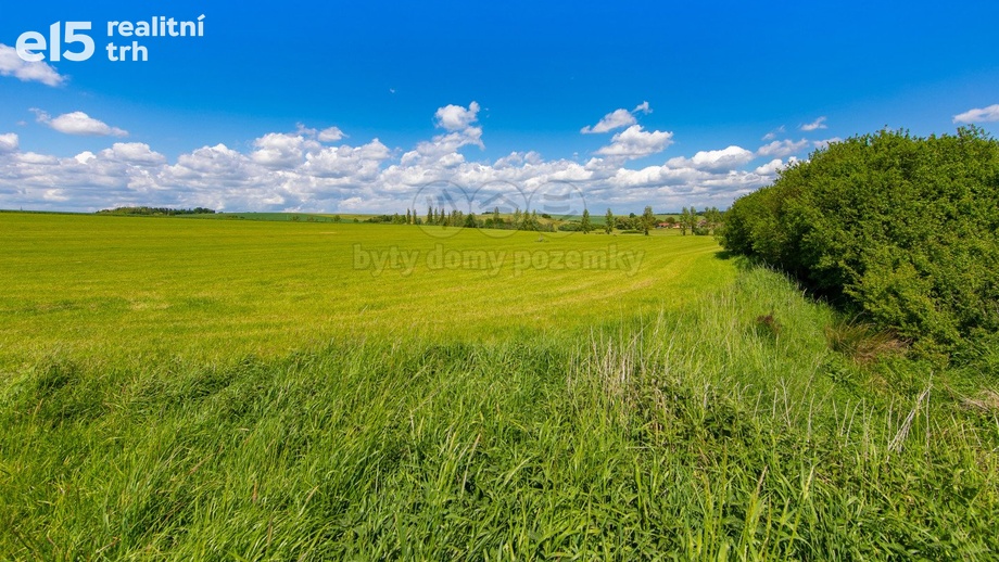Prodej pozemky - trvalý travní porost, 2 373 m² - Blížejov