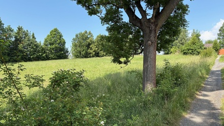 Prodej stavebního pozemku 1 345 m², Razová