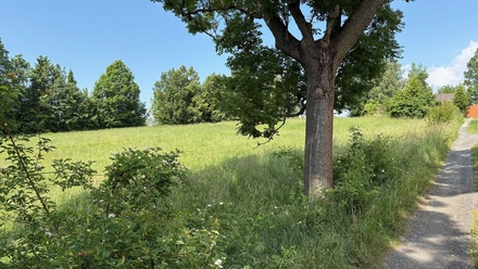 Developerský projekt, Razová