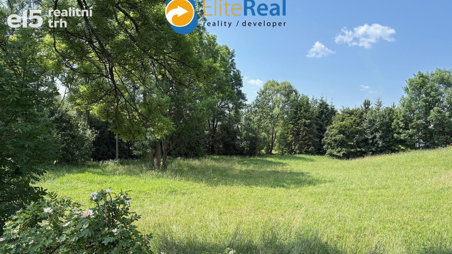 Developerský projekt, Razová