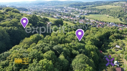 Prodej lesa 10 191 m², Zlín