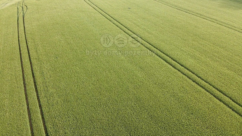 Prodej zemědělská půda, 10 638 m² - Opočno