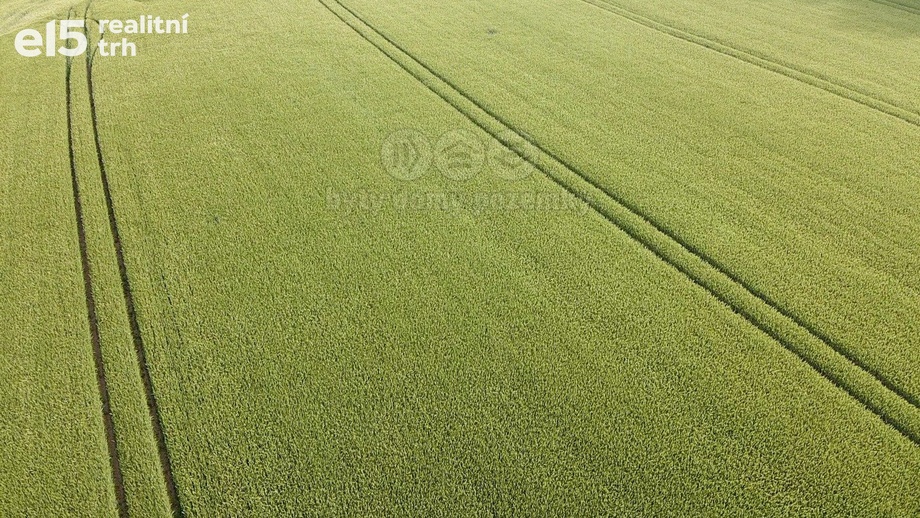 Prodej zemědělská půda, 10 638 m² - Opočno