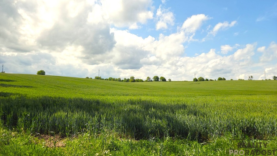 Prodej zemědělská půda, 2 649 m² - Kyjov