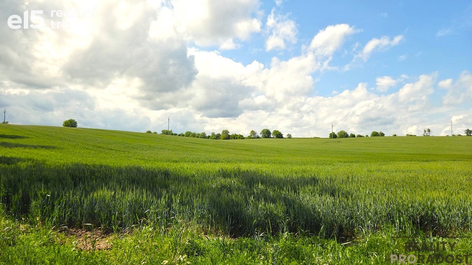 Prodej zemědělská půda, 2 649 m² - Kyjov