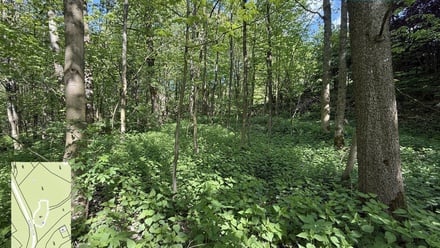 Prodej specifického pozemku 424 m², Červená Voda