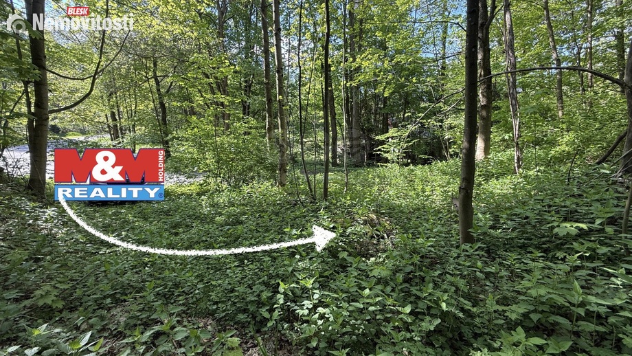 Prodej specifického pozemku 424 m², Červená Voda - Horní Orlice