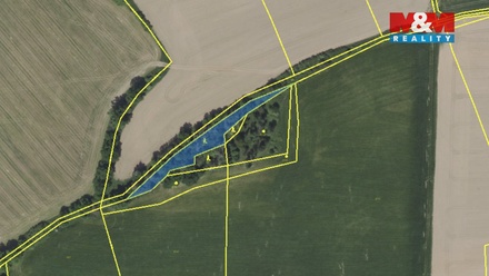 Prodej lesa 2 104 m², Maršovice