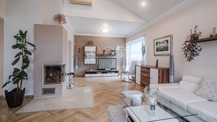 Prodej rodinného domu 300 m², Týnec nad Labem - Vinařice