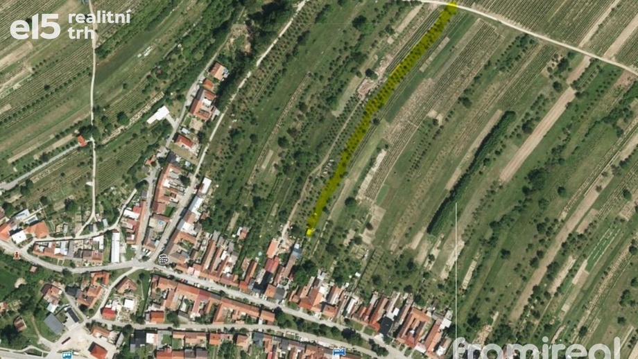 Prodej sady a vinice, 2 450 m² - Blatnice pod Svatým Antonínkem