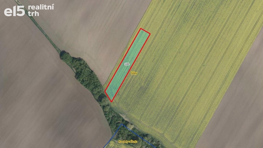 Prodej zemědělská půda, 4 305 m² - Češov