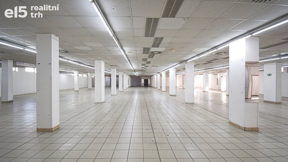 Pronájem obchodního prostoru 1 250 m², Plzeň - Lobzy