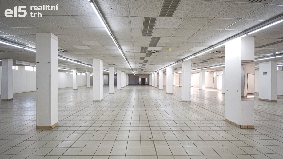 Pronájem obchodního prostoru 1 250 m², Plzeň - Lobzy