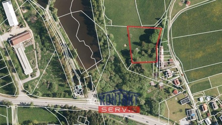 Prodej specifického pozemku 3 355 m², Horní Planá - Hůrka