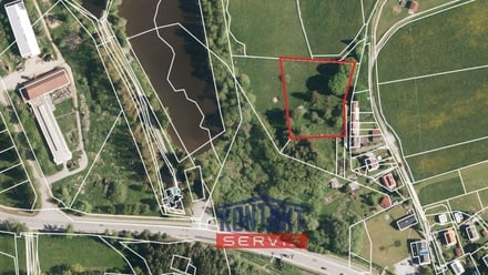 Prodej specifického pozemku 3 355 m², Horní Planá - Hůrka