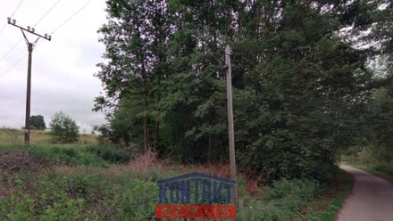 Prodej louky 1 475 m², Nové Hrady