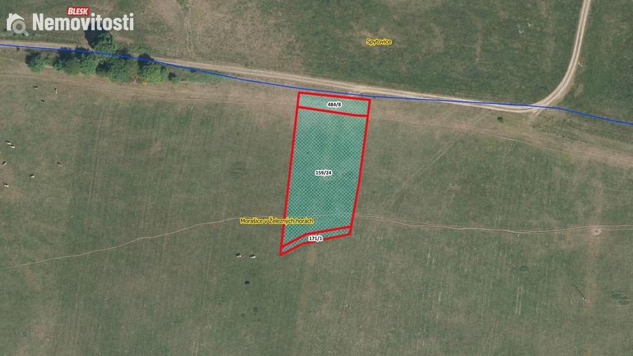 Prodej louky 2 206 m², Morašice