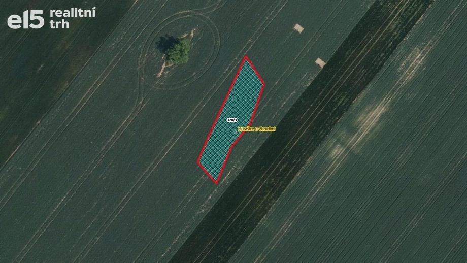 Prodej zemědělská půda, 1 324 m² - Morašice