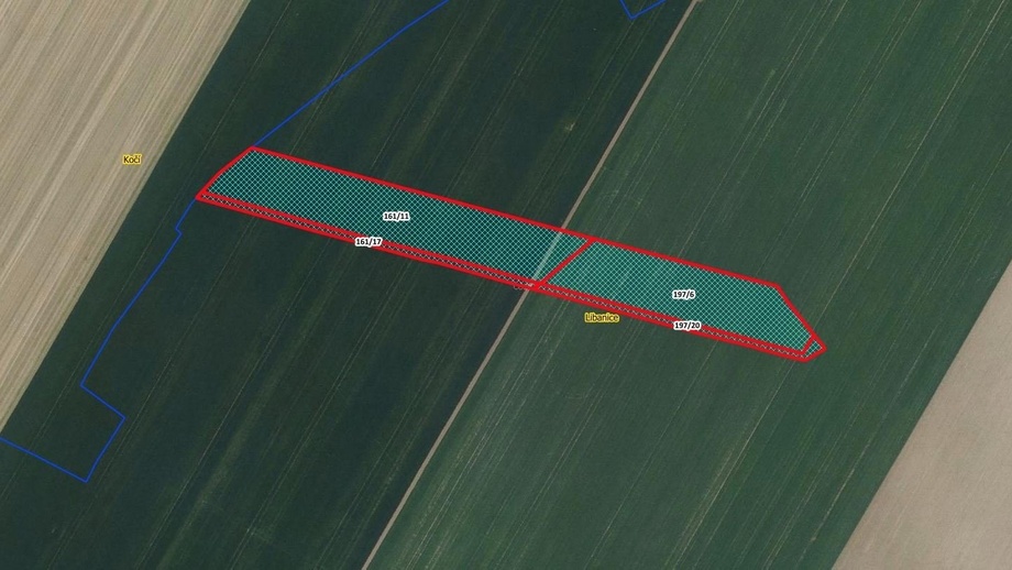 Prodej pole 3 650 m², Honbice