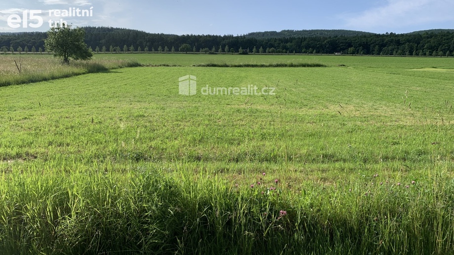Prodej pozemky pro bydlení, 3 906 m² - Podbrdy