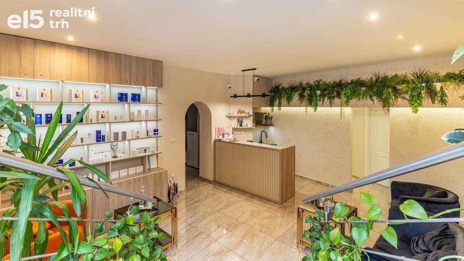 Pronájem ostatní komerční nemovitosti, 150 m² - Praha - Vinohrady