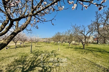 Prodej komerčního pozemku 2 700 m², Perná