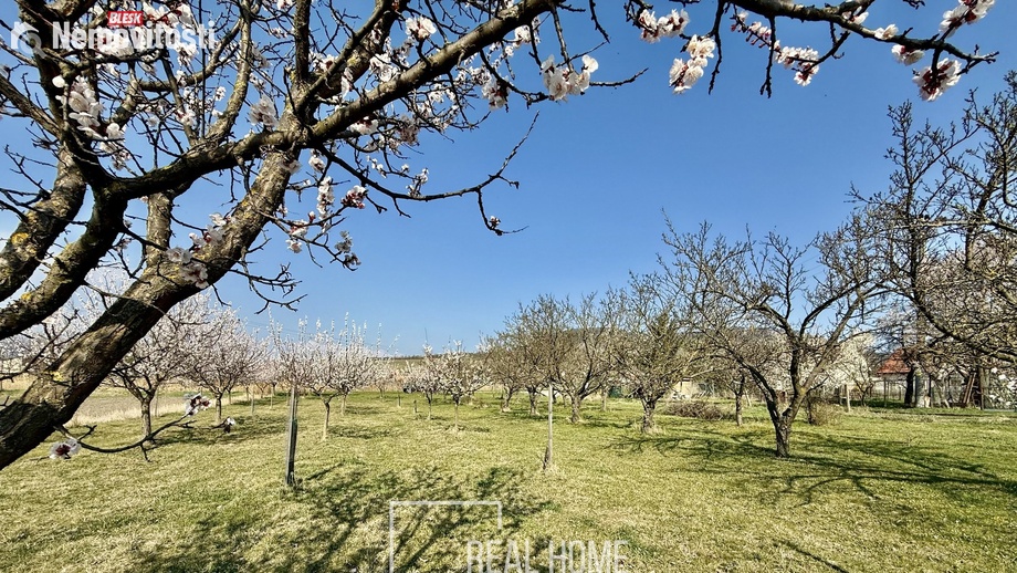 Prodej komerčního pozemku 2 700 m², Perná