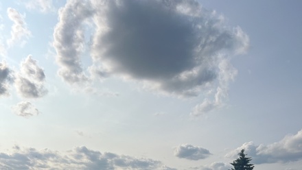 Prodej rodinného domu 128 m², Seč