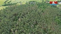 Prodej lesa 3 372 m², Chotilsko