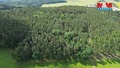 Prodej lesa 3 372 m², Chotilsko