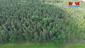 Prodej lesa 3 372 m², Chotilsko