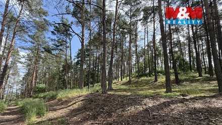 Prodej lesa 3 372 m², Chotilsko