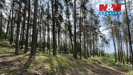 Prodej lesa 3 372 m², Chotilsko