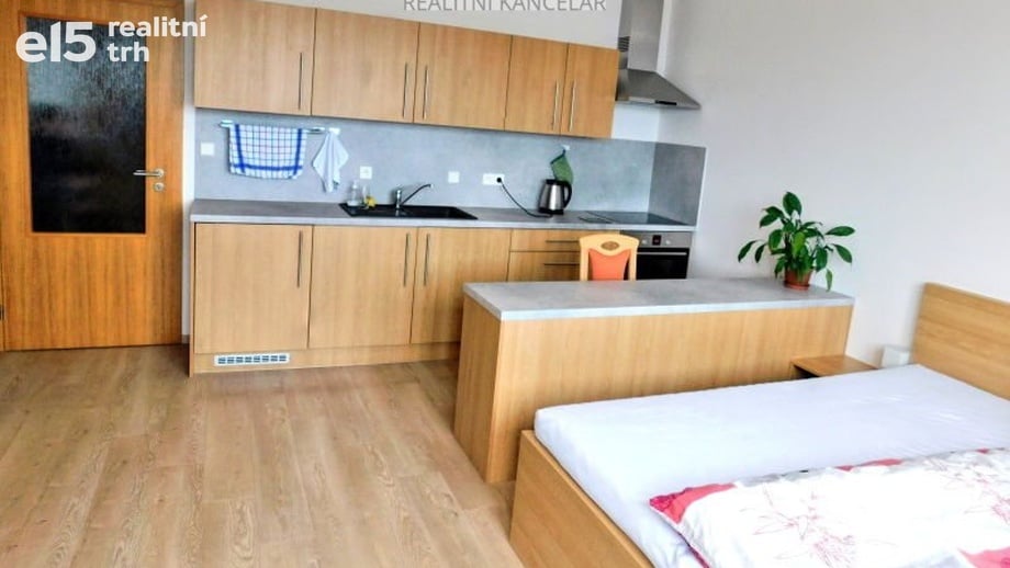 Pronájem byty 1+kk, 29 m² - Plzeň - Jižní Předměstí