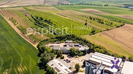 Prodej výrobního prostoru 1 837 m², Šardice