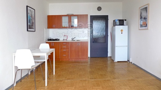 Pronájem byty 1+kk, 26 m² - Ústí nad Labem - Krásné Březno