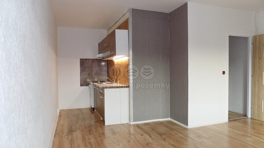 Pronájem byty 1+kk, 31 m² - Ústí nad Labem - Krásné Březno