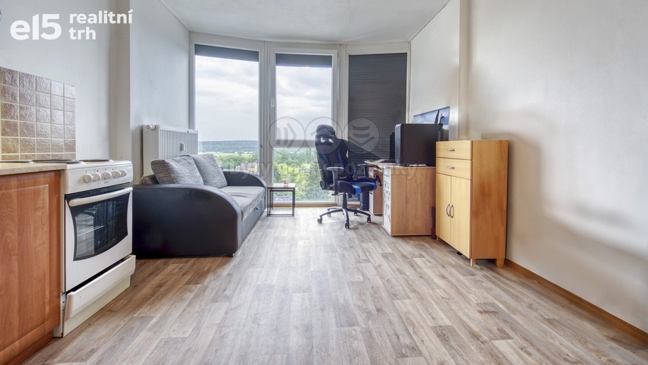 Pronájem byty 1+kk, 25 m² - Plzeň - Litice