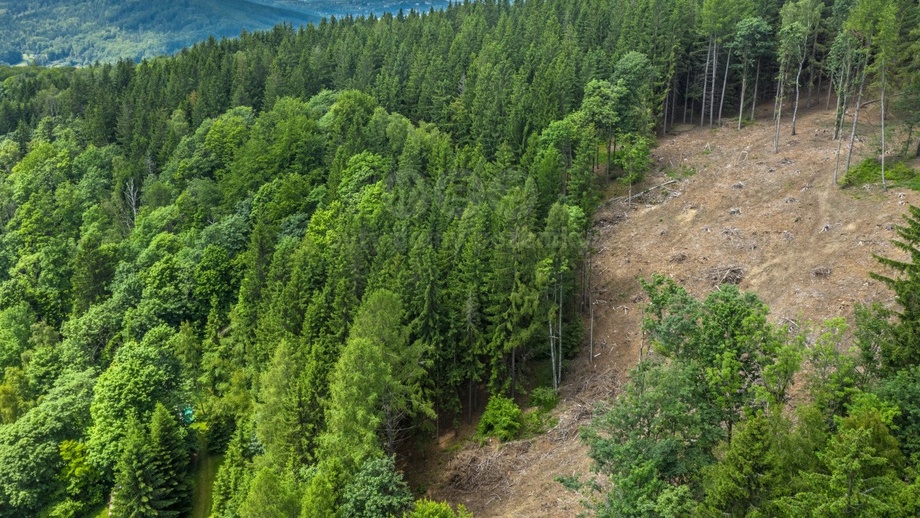 Prodej 6 696 m², Tanvald - Šumburk nad Desnou