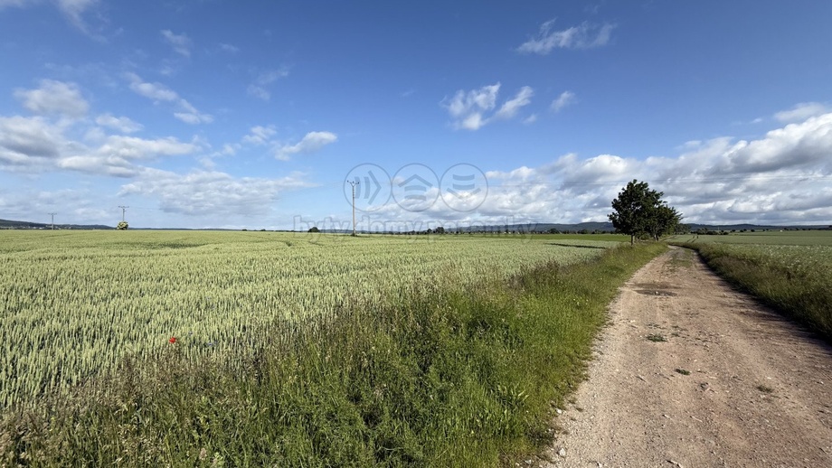 Prodej pole 11 877 m², Rožmitál pod Třemšínem - Skuhrov